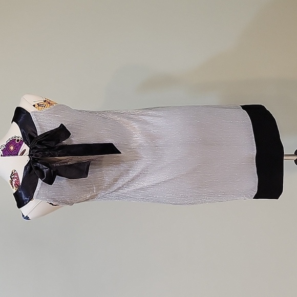 ENFOCUS STUDIO silver and black sleeveless dress.  Ties in back. Size is 4. - Picture 4 of 10